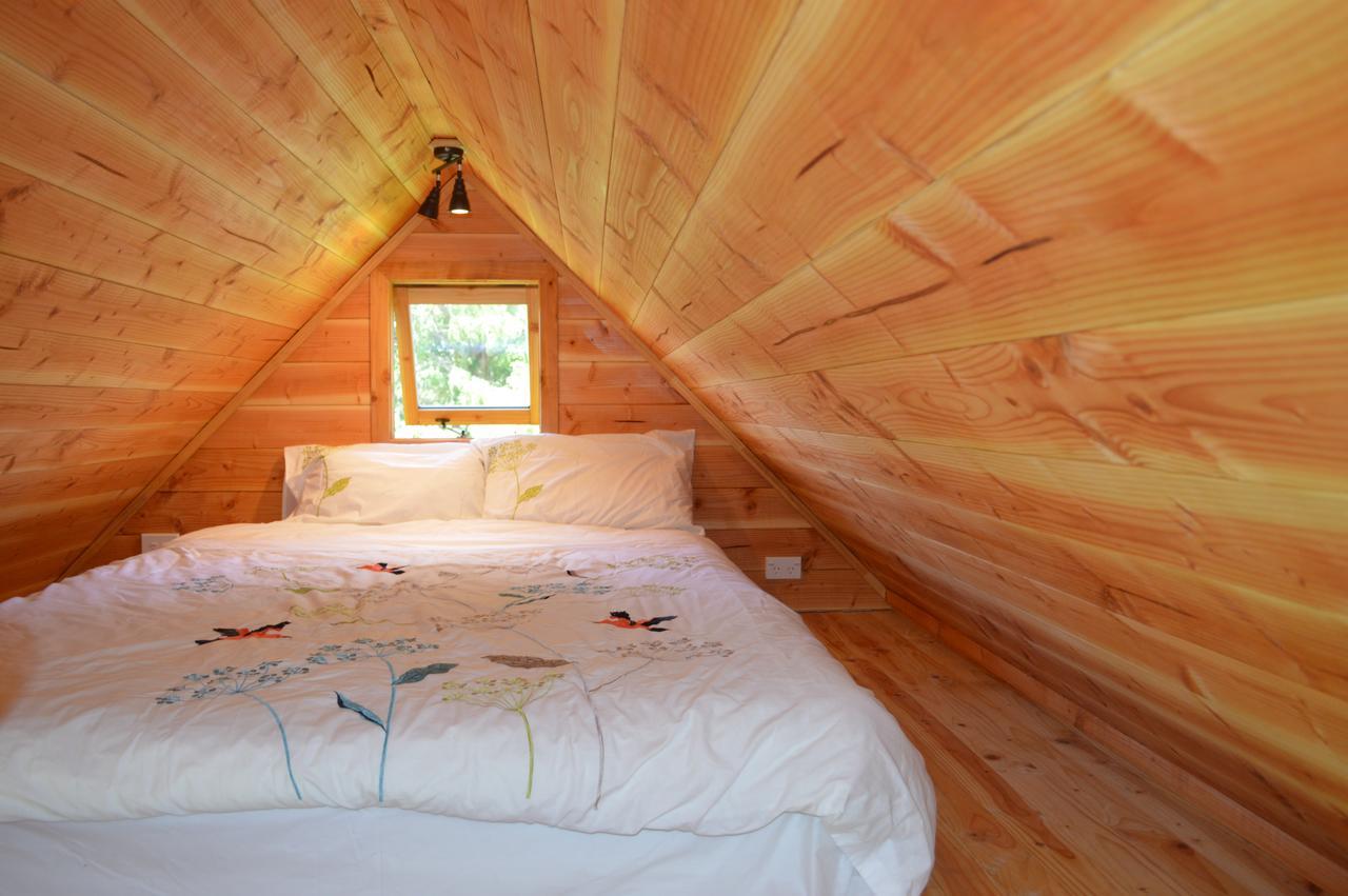 Sunrise Cabin At First Light Rangihaeata Retreat Takaka Eksteriør bilde